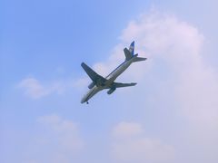 -空港花田景区