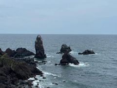 -涉地可支