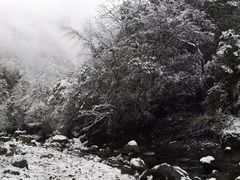 -西岭雪山大飞水景区