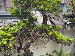 -道南書院·私房菜·早午茶·茶馆