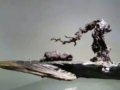 -双季花艺园艺市场(浦东店)