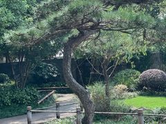 -新荣记(西溪湿地店)