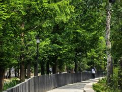 -白水寺森林公园