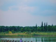 -野鸭湖国家湿地公园