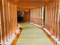 -重庆南山海昌汤都