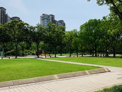 -新江湾城公园