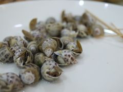 -三亚湾水产综合交易市场