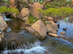 -罗红摄影艺术馆