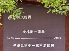 -大槐树寻根祭祖园