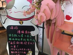 -喵屿·大理花园猫咖