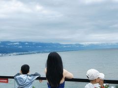 -野菌皇海景野生菌火锅(滨海大道店)
