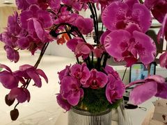 -杭州平安悦坊 PAFC LIVING