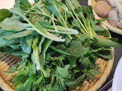 蔬菜组合-宝弟羊肉馆(众意路店)