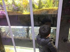 -中环花鸟鱼虫市场