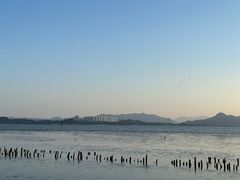 -深圳湾公园(南山区)