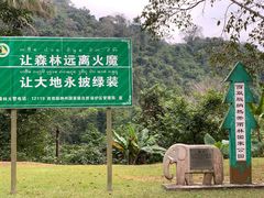 -中国科学院西双版纳热带植物园