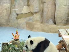 -无锡动物园·太湖欢乐园