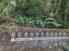 -深圳仙湖植物园