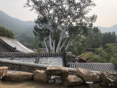 -八奇洞景区