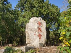 -泰山风景名胜区-普照寺