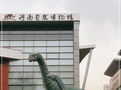 -河南自然博物馆