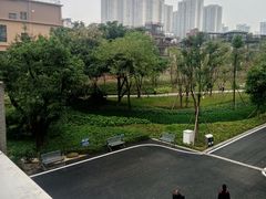 -沐仙湖湿地公园