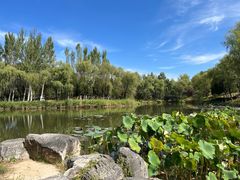 -稻香湖景欢乐岛温泉城堡