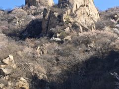 -大岭沟猕猴桃谷风景区