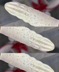 -Cream88颜皮肤管理中心