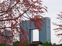 -喜洲吧·江畔老船厂·庭院餐厅(喜临院店)