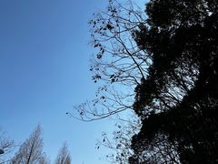 -石湖景区