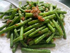 马来四季豆-兴隆槟榔园休闲农庄