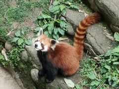 -西安秦岭野生动物园