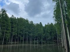 -波尔登森林公园