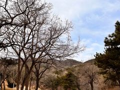 -北京西山国家森林公园