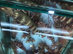 -班赞海鲜市场