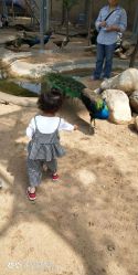 -上美四季动物农场