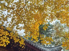 -汇龙潭