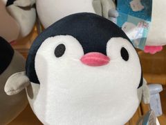-海合安成都极地海洋公园
