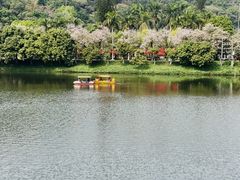 -潮州西湖