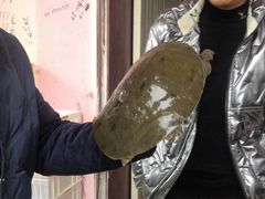 -元银甲·湖北地标美食(汉阳店)