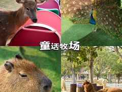 -盈香心动乐园