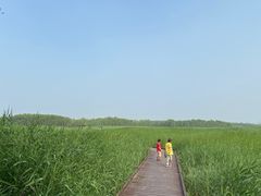 -西青郊野公园