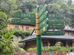 -野象谷景区