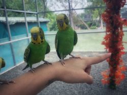 -萌宠亲子动物乐园(槐房万达店)