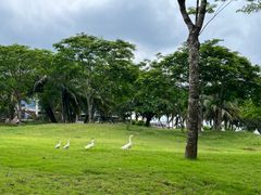 -西秀海滩公园