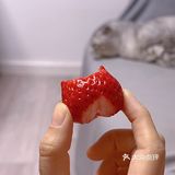 原來喝咖啡也會讓人醉生夢死！