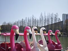 -圩墩遗址公园