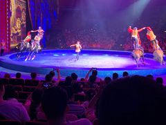 -珠海横琴长隆《卡卡虎奇遇记》