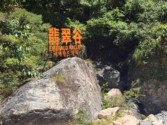 -黄山翡翠谷景区